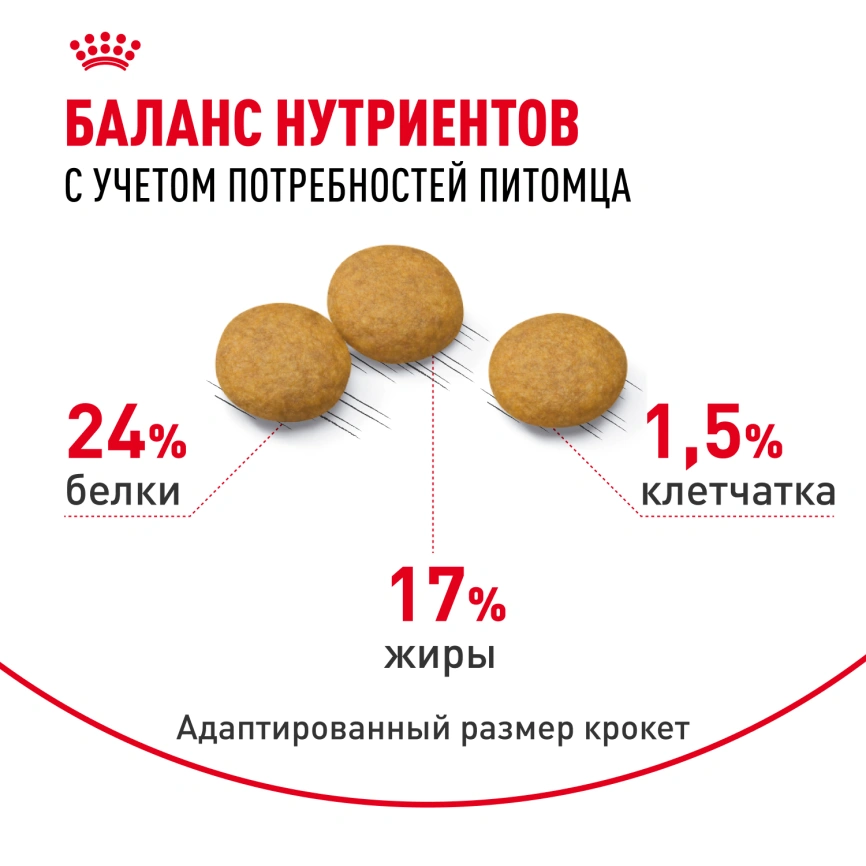 Сухой корм Royal Canin Medium Dermacomfort для собак, 3 кг фото 4