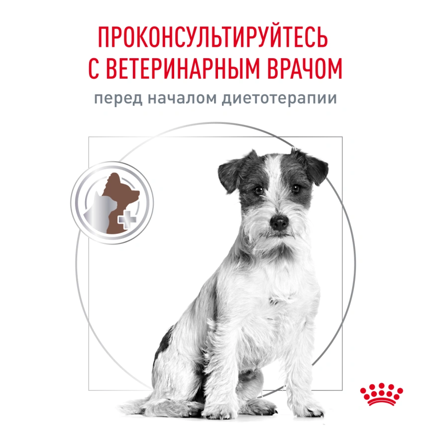 Сухой корм Royal Canin Gastrointestinal Low Fat Small Dogs для собак, 3 кг фото 5
