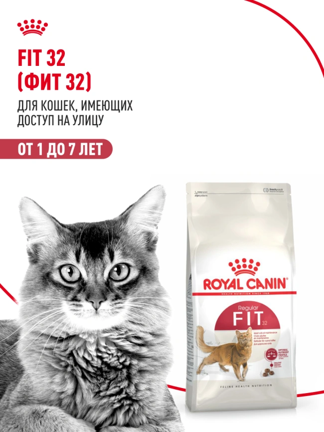 Сухой корм Royal Canin Fit для кошек, 400 г фото 13