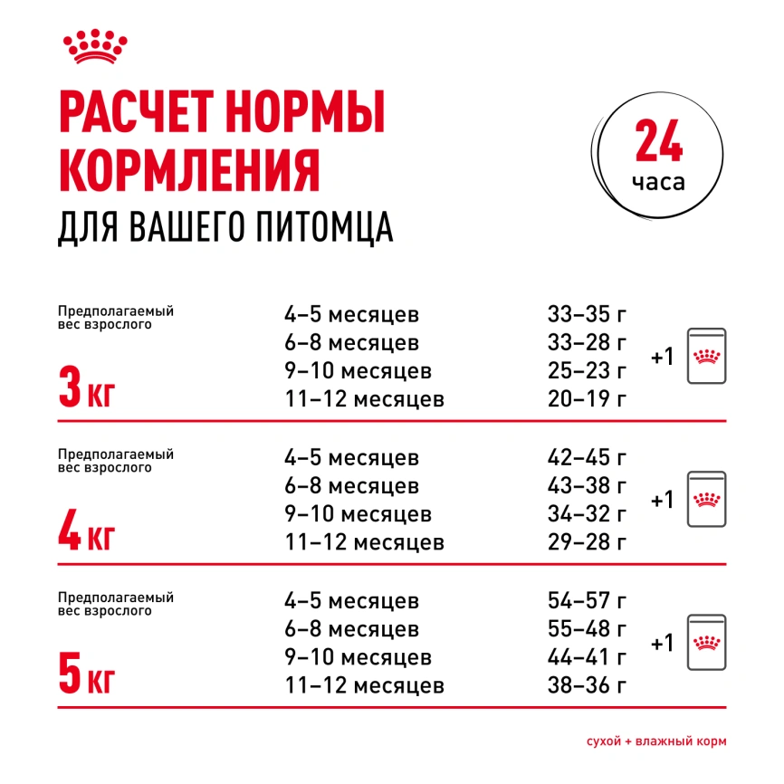 Сухой корм Royal Canin Sphynx Kitten для котят породы сфинкс до 12 месяцев, 400 г фото 9