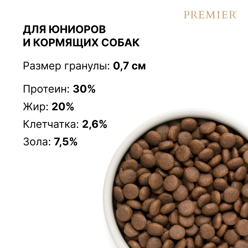 Сухой корм Premier Dog Junior Medium & Maxi Turkey для юниоров средних и крупных пород, с индейкой, 10 кг фото 8