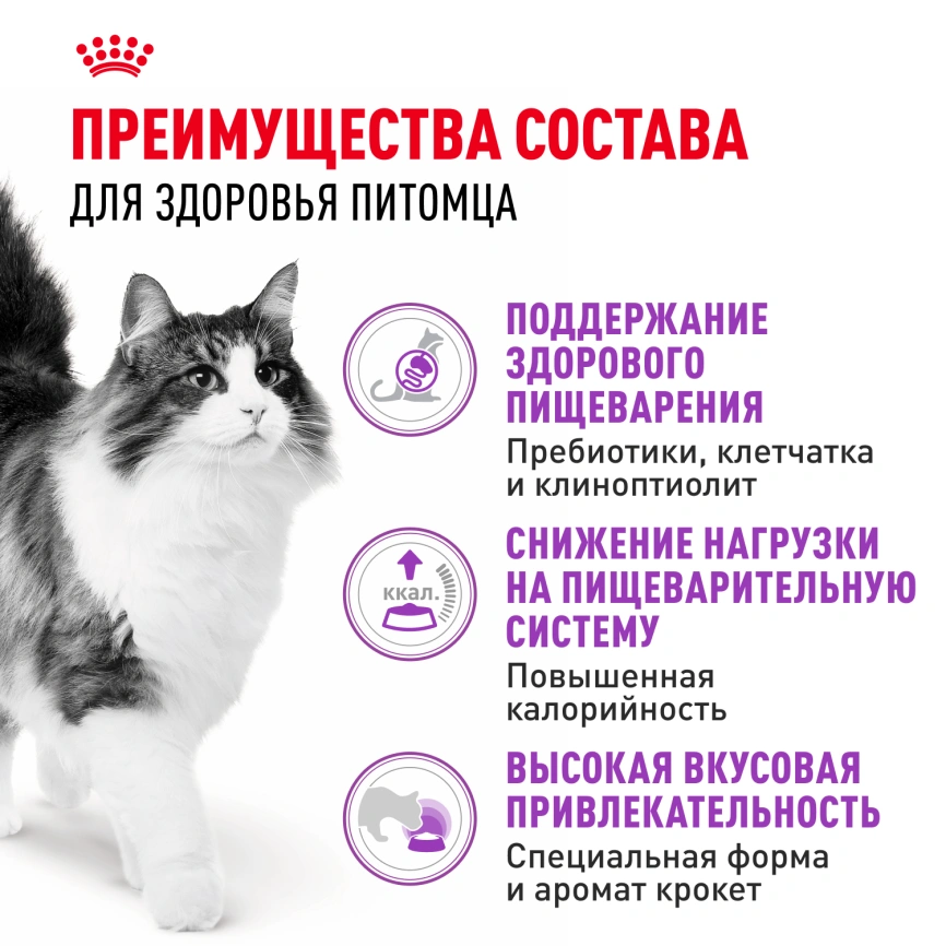 Сухой корм Royal Canin Sensible для кошек, 1,2 кг фото 4