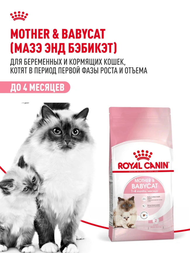 Сухой корм Royal Canin Mother & Babycat для котят, беременных и лактирующих кошек, 400 г фото 14