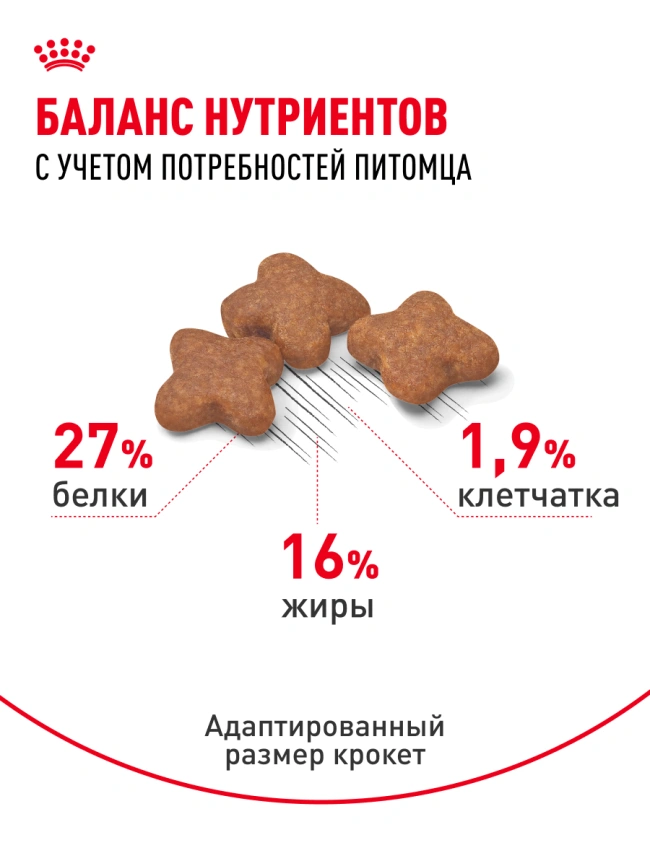 Сухой корм Royal Canin Mini Adult для взрослых собак, 2 кг фото 18
