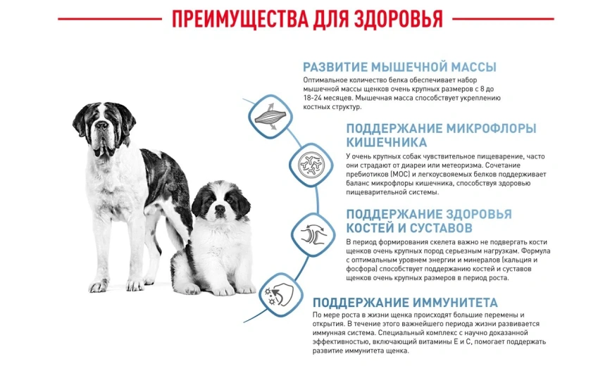 Сухой корм Royal Canin Giant Junior для щенков, 3,5 кг фото 16