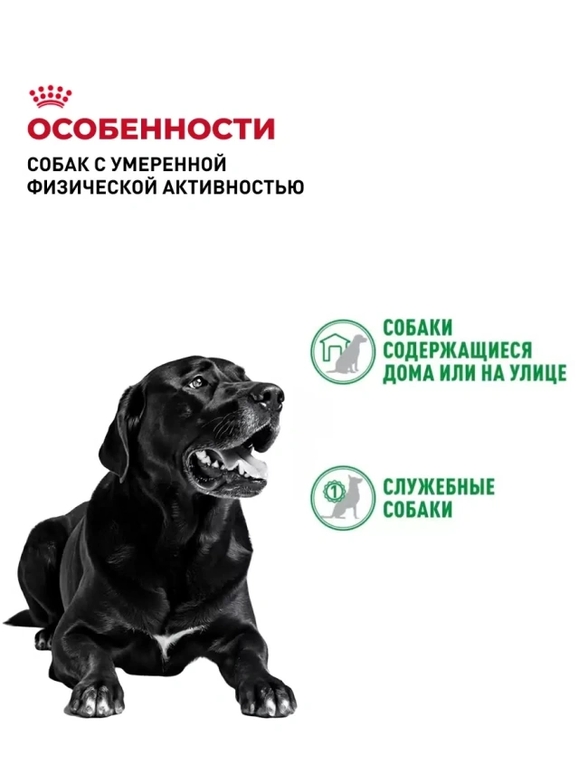Сухой корм Royal Canin Club Adult Cс для взрослых собак, 20 кг фото 3