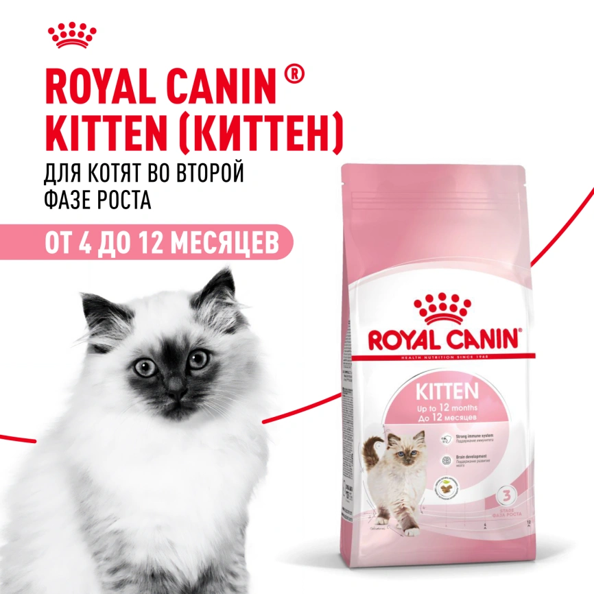 Сухой корм Royal Canin Kitten для котят, 300 г фото 17