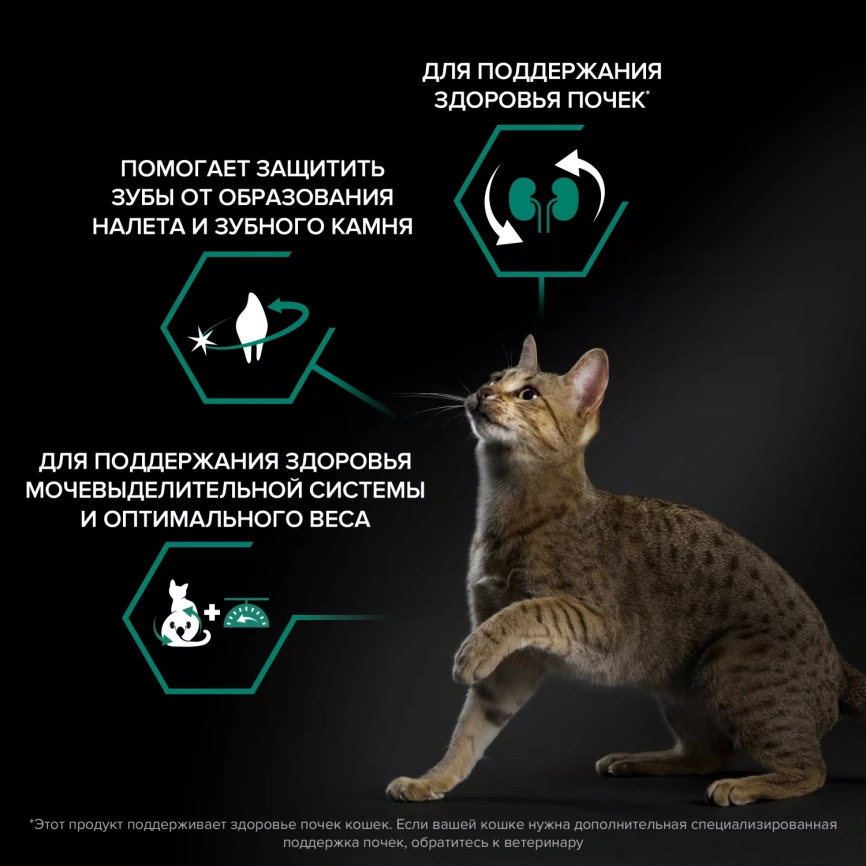 Сухой корм PRO PLAN Rabbit для взрослых стерилизованных кошек и кастрированных котов старше 1 года, с кроликом, 400 г фото 3