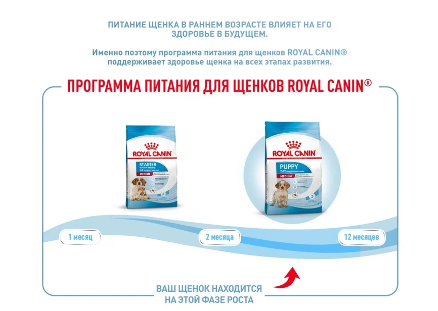 Сухой корм Royal Canin German Shepherd Puppy для щенков, 12 кг фото 13