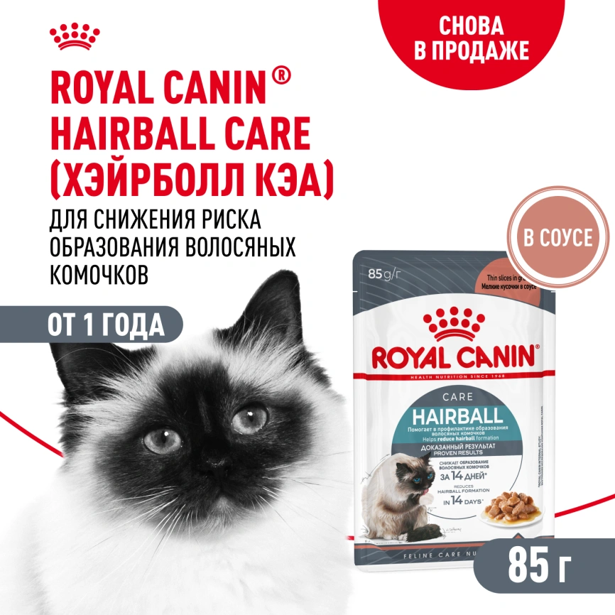 Сухой корм Royal Canin Hairball Care для взрослых кошек, для выведения волосяных комочков, 400 г фото 13