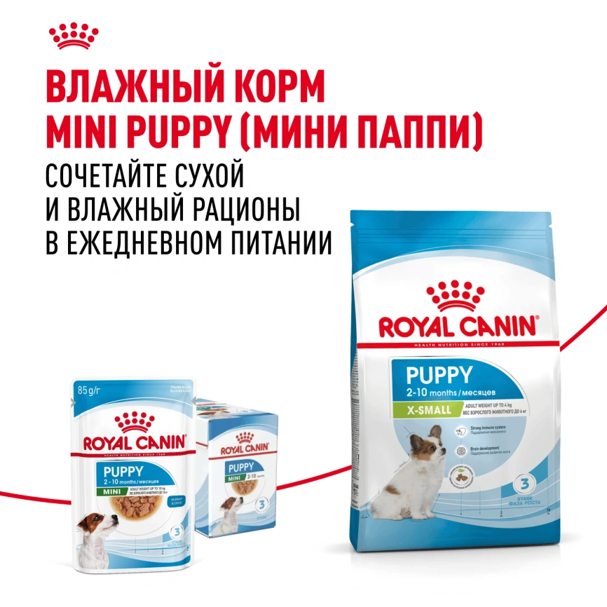 Сухой корм Royal Canin X-Small Puppy для щенков, 3 кг фото 9