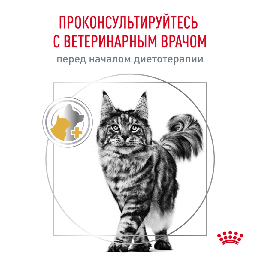 Сухой корм Royal Canin Urinary S/O для кошек при мочекаменной болезни, 350 г фото 9