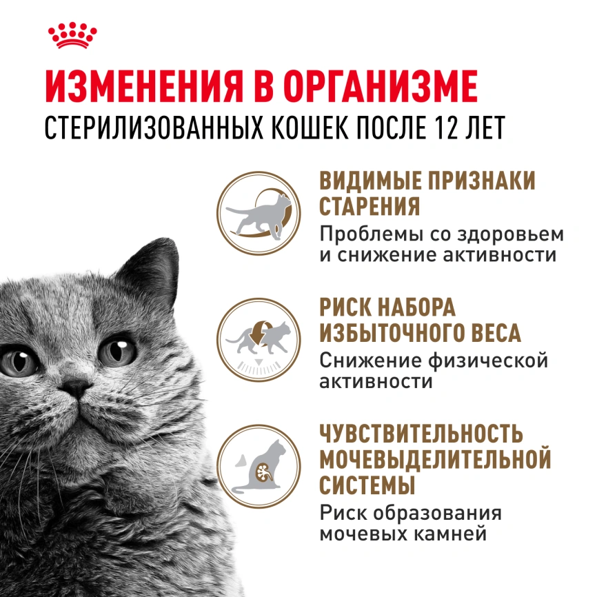 Сухой корм Royal Canin Ageing Sterilised 12+ для стерилизованных кошек старше 12 лет, 2 кг фото 2