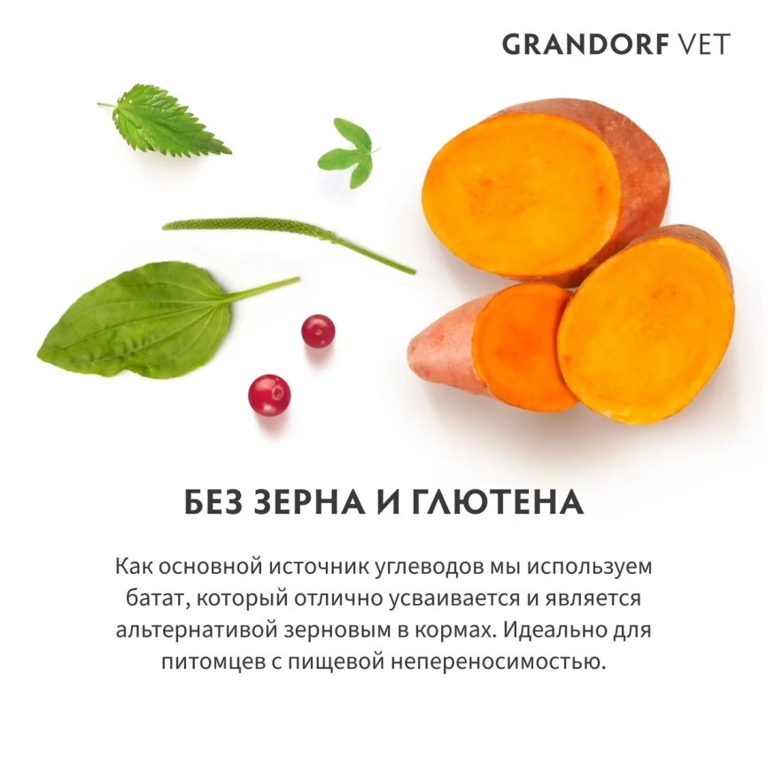 Сухой корм Grandorf Veterinary Hepatiс для кошек при заболеваниях печени, 400 г фото 4