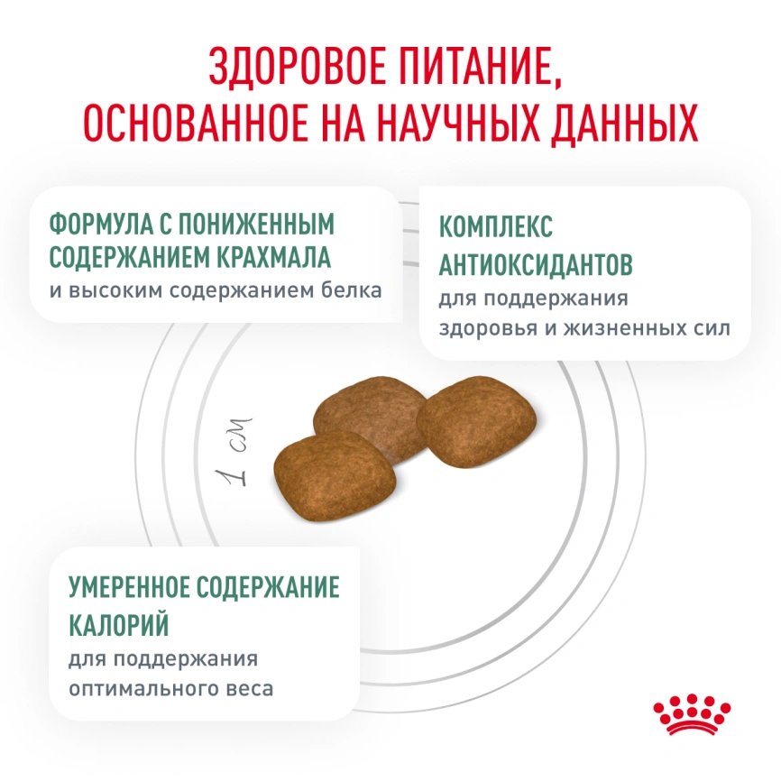 Сухой корм Royal Canin Maxi Joint Care для собак, 10 кг фото 3