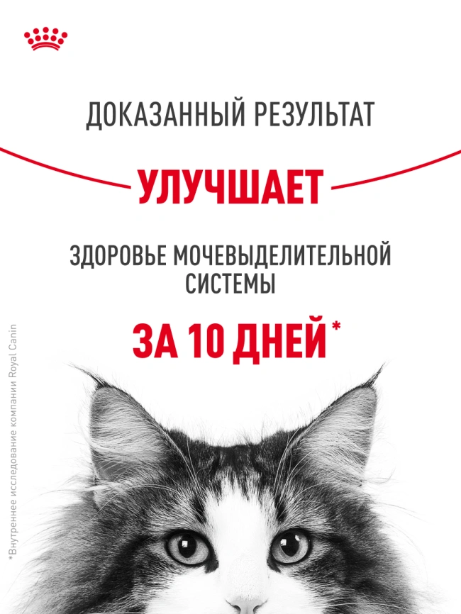 Сухой корм Royal Canin Urinary Care для кошек для профилактика мочекаменной болезни, 400 г фото 17