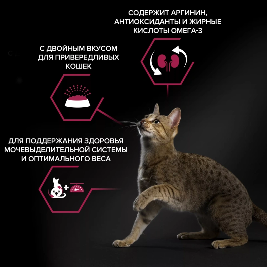 Сухой корм PRO PLAN Duck & Liver для взрослых стерилизованных кошек и кастрированных котов, с высоким содержанием утки и печенью, 10 кг фото 6
