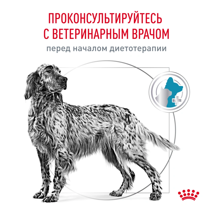 Диетический влажный корм Royal Canin Sensitivity Control для собак при пищевой аллергии или непереносимости, с уткой и рисом, паштет, банка, 410 г фото 7