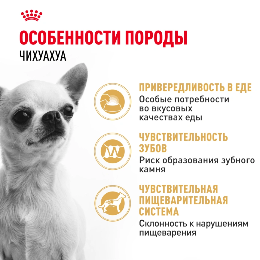 Сухой корм Royal Canin Bulldog Adult для собак породы английский бульдог, 3 кг фото 2