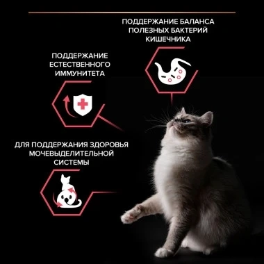Сухой корм PRO PLAN Nature Elements Sterilised Chicken для взрослых стерилизованных кошек, с высоким содержанием курицы, 400 г фото 2