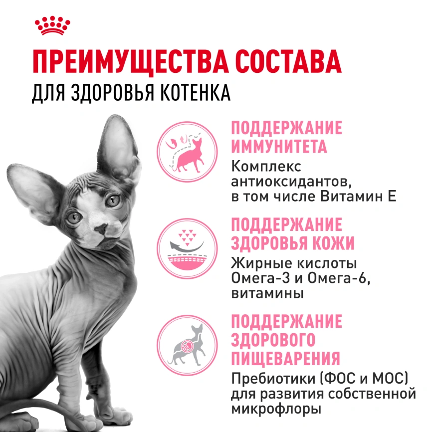 Сухой корм Royal Canin Sphynx Kitten для котят породы сфинкс до 12 месяцев, 400 г фото 4