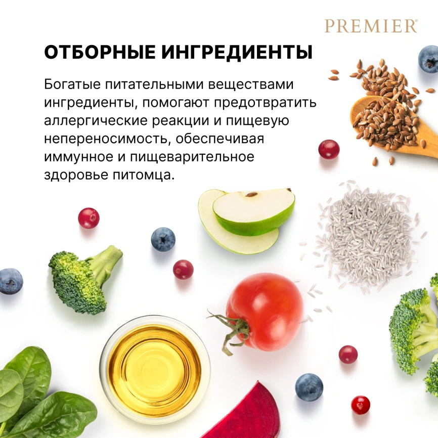 Сухой корм Premier Dog Junior Medium & Maxi Turkey для юниоров средних и крупных пород, с индейкой, 1 кг фото 7