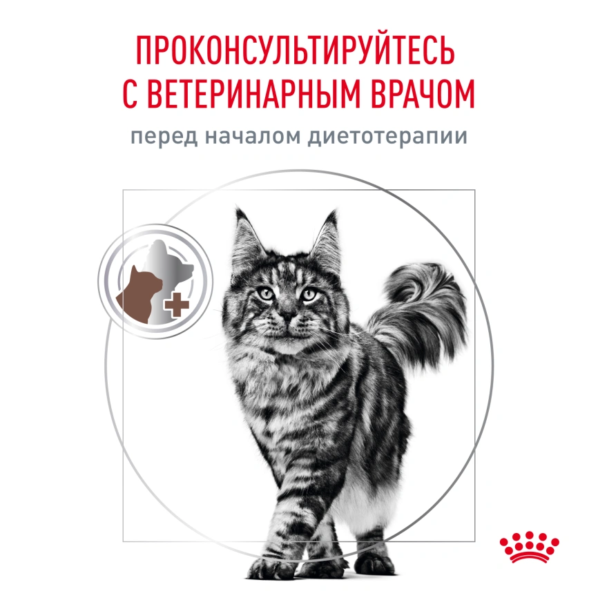 Влажный корм Royal Canin Gastrointestinal диетический для кошек при расстройствах пищеварения, пауч, 85 г фото 6