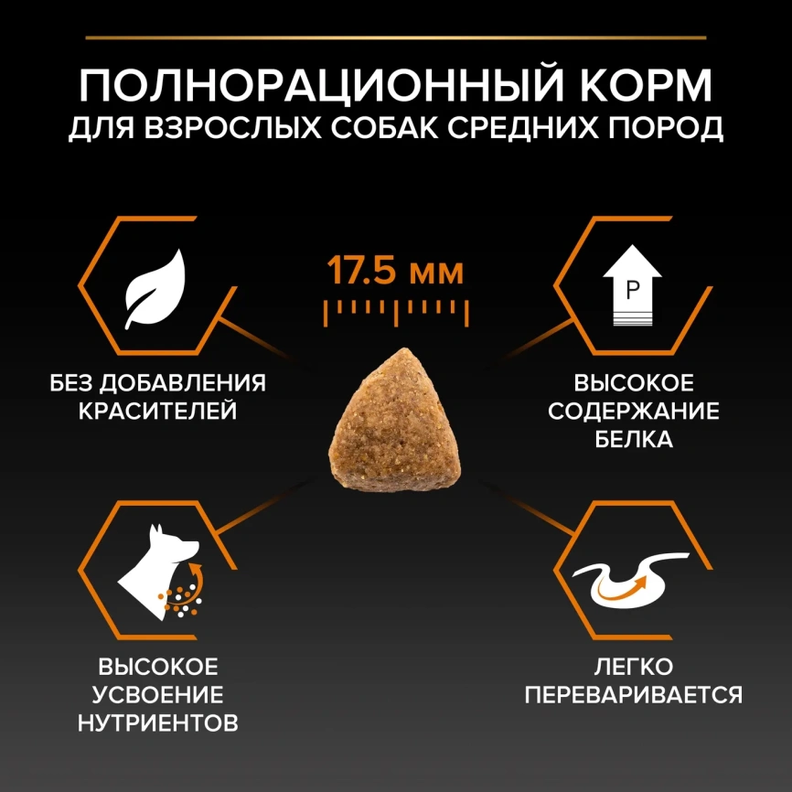 Сухой корм PRO PLAN Chicken для взрослых собак средних пород, с высоким содержанием курицы, 7 кг фото 2
