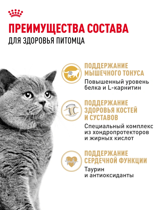 Сухой корм Royal Canin British Shorthair для кошек породы британская короткошерстная, 10 кг фото 31