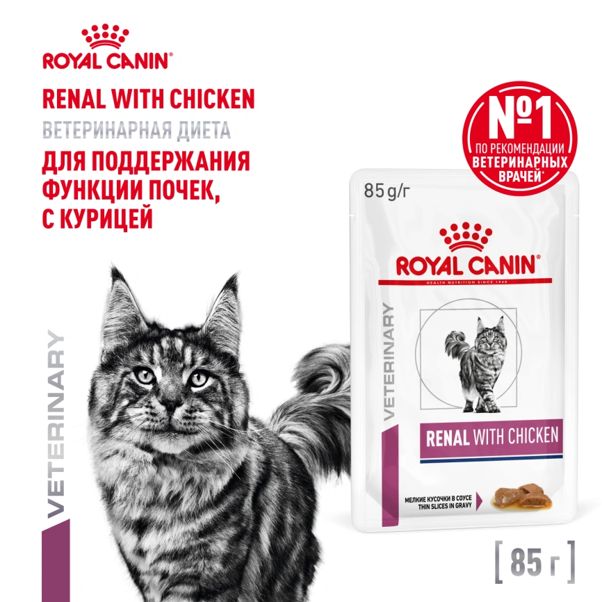Влажный корм Royal Canin Renal Chicken для кошек при заболеваниях почек, в соусе, с курицей, пауч, 85 г фото 1