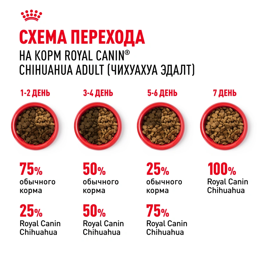 Сухой корм Royal Canin Cocker Adult для собак породы кокер-спаниель, 3 кг фото 6