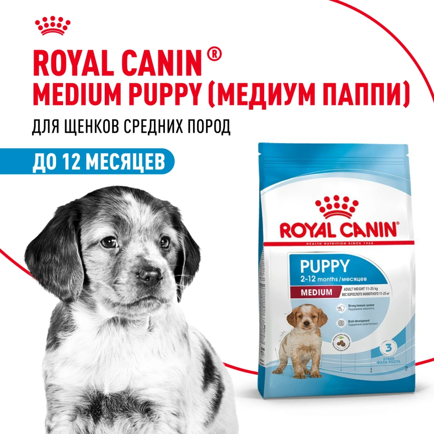 Сухой корм Royal Canin German Shepherd Puppy для щенков, 12 кг фото 11