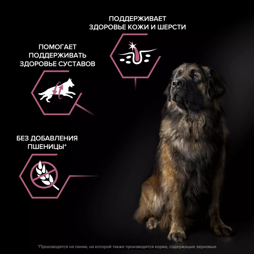 Сухой корм PRO PLAN Salmon для собак крупных пород с мощным телосложением, с высоким содержанием Лосося, 18 кг фото 2