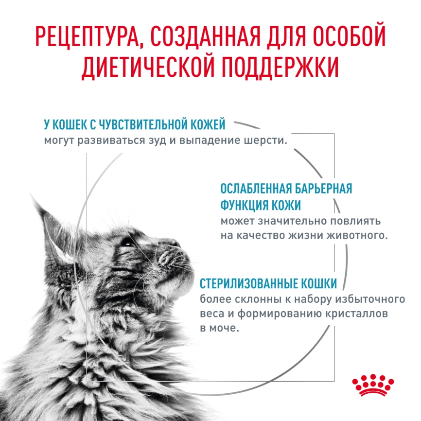 Сухой корм Royal Canin Skin & Coat для кошек, 1,5 кг фото 2