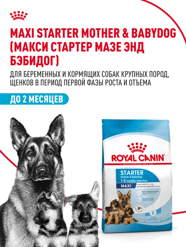 Сухой корм Royal Canin Maxi Starter Mother & Babydog для собак, 4 кг фото 17