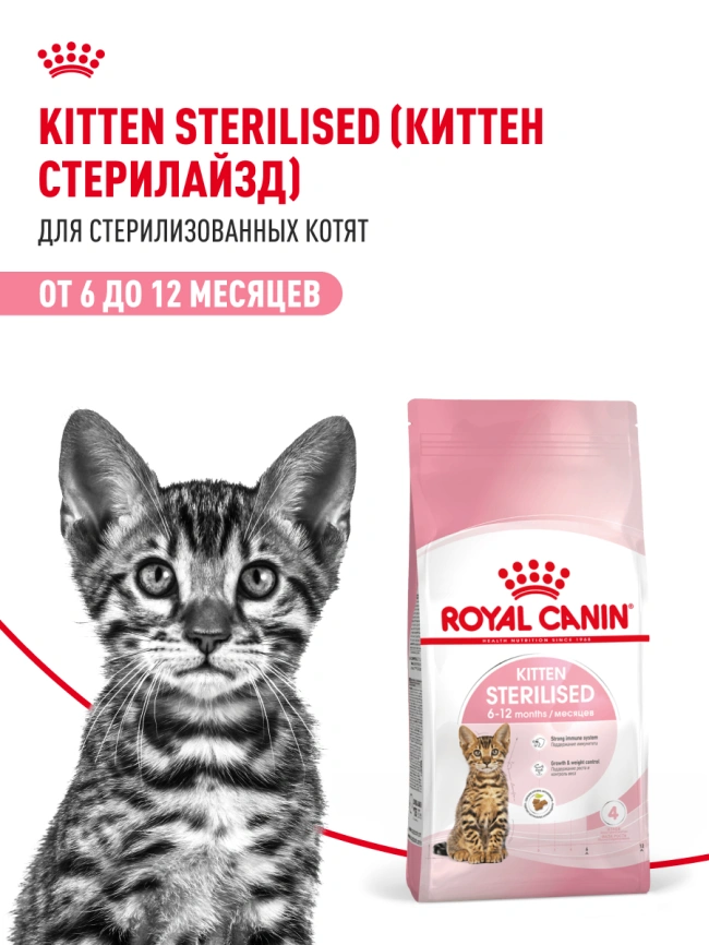 Сухой корм Royal Canin Kitten Sterilised для котят, 3,5 кг фото 19
