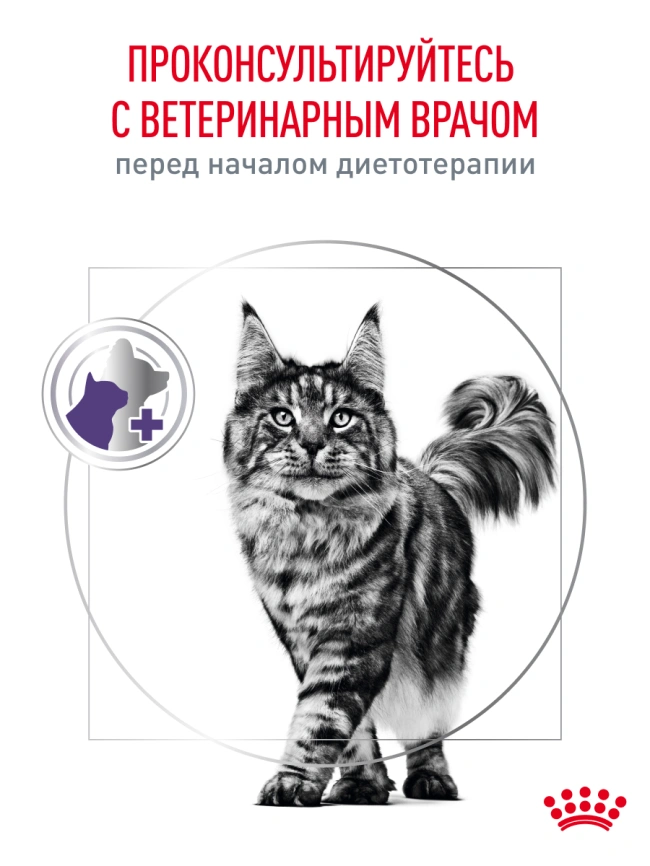Сухой корм Royal Canin Neutered Satiety Balance для кастрированных котов и стерилизованных кошек до 7 лет, 8 кг фото 21