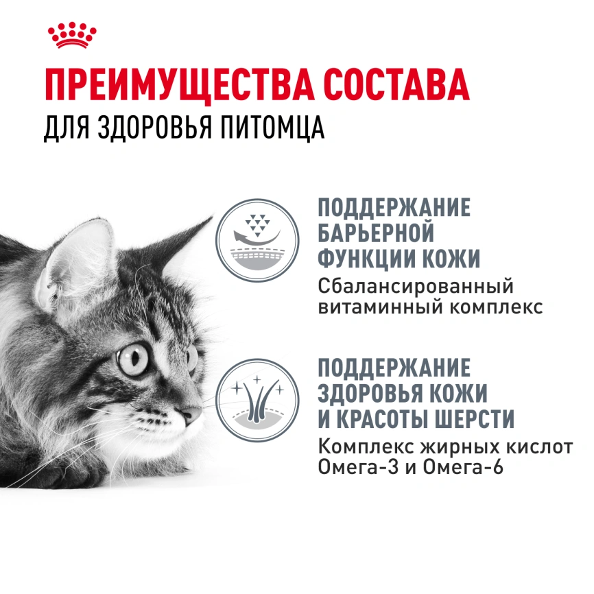 Сухой корм Royal Canin Hair & Skin Care для кошек, 10 кг фото 3