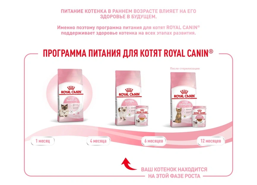 Сухой корм Royal Canin Kitten для котят, 300 г фото 12