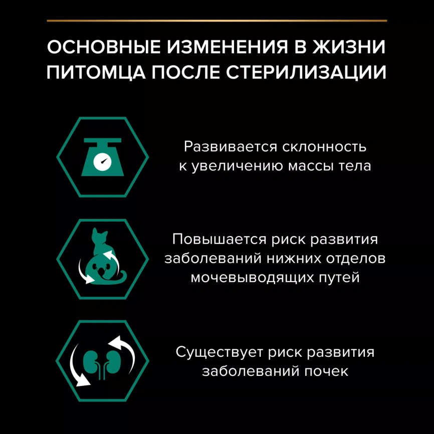 Влажный корм Purina Pro Plan Maintenance Lamb для взрослых кошек, с ягненком в желе, 85 г фото 5