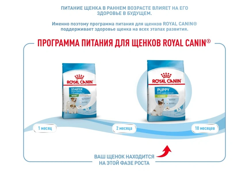 Сухой корм Royal Canin X-Small Puppy для щенков, 500 г фото 13