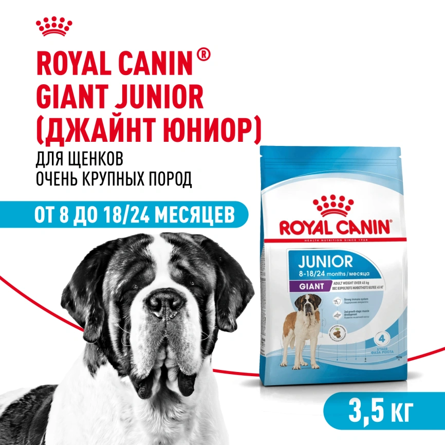 Сухой корм Royal Canin Giant Junior для щенков, 3,5 кг фото 1