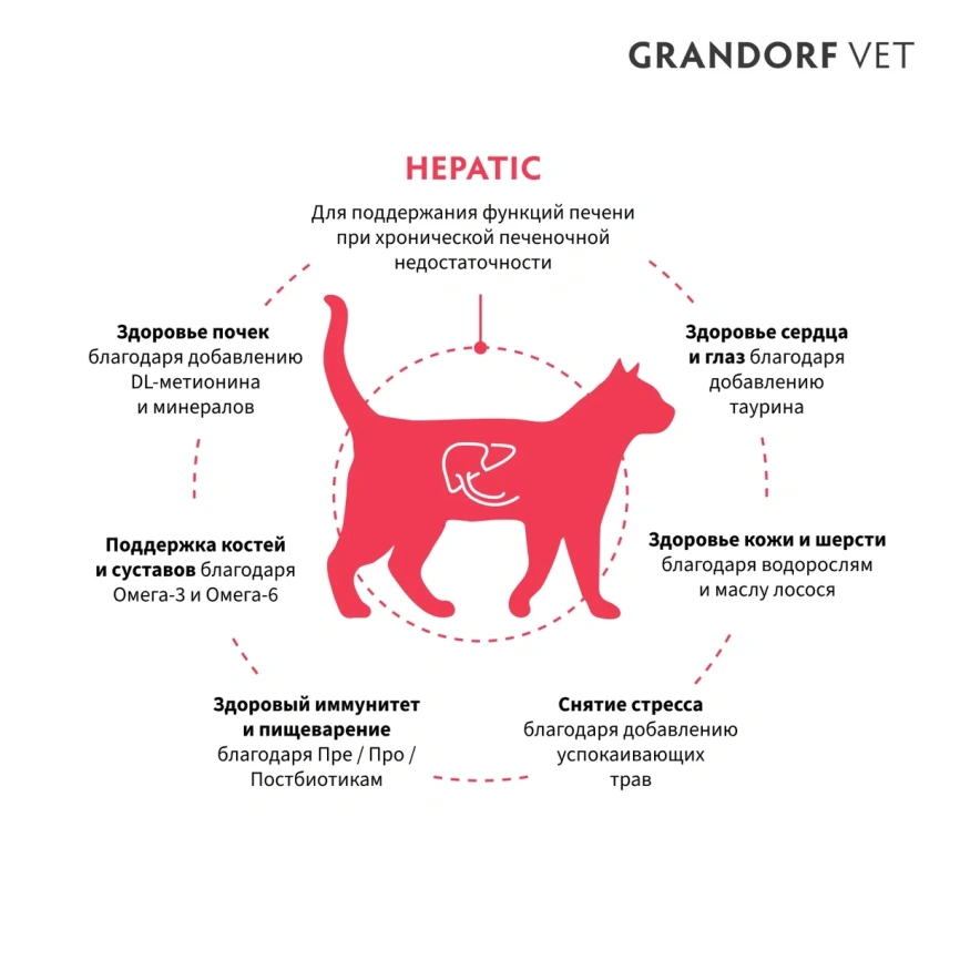 Сухой корм Grandorf Veterinary Hepatic Liver для кошек при заболеваниях печени, 2 кг фото 2