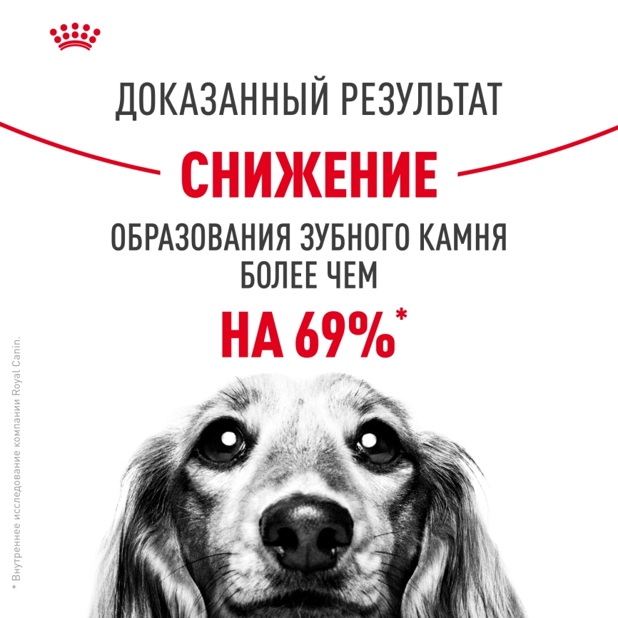Сухой корм Royal Canin Mini Dental Care для собак, 3 кг фото 11