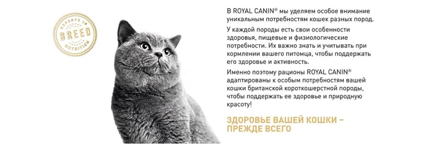 Сухой корм Royal Canin British Shorthair для кошек породы британская короткошерстная, 10 кг фото 18