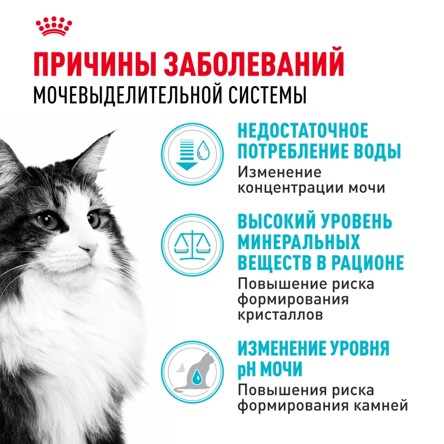 Сухой корм Royal Canin Urinary Care для поддержания здоровья мочевыделительной системы кошек, 4 кг фото 12