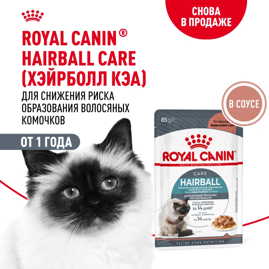 Сухой корм Royal Canin Hairball Care для взрослых кошек, для выведения волосяных комочков, 400 г фото 1