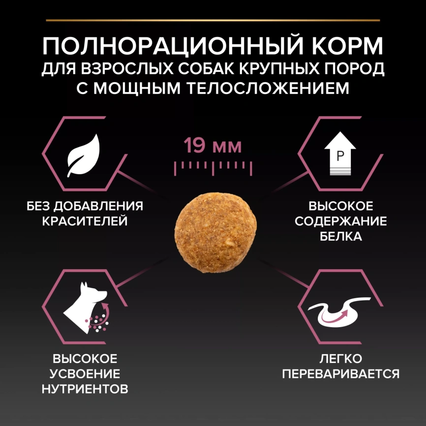Сухой корм PRO PLAN Salmon для собак крупных пород с мощным телосложением, с высоким содержанием Лосося, 18 кг фото 3