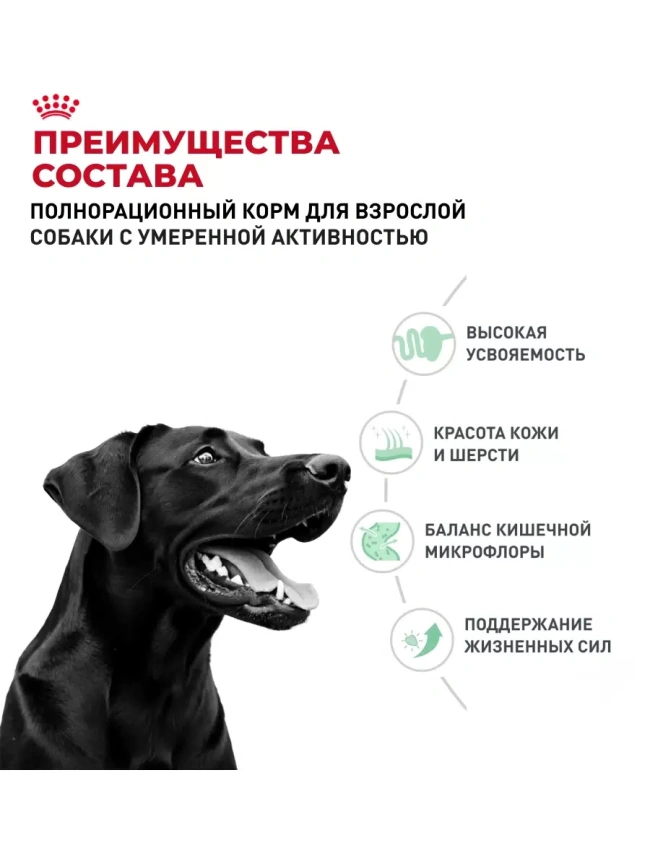 Сухой корм Royal Canin Giant Adult PRO для взрослых собак гигантских пород, 20 кг фото 2