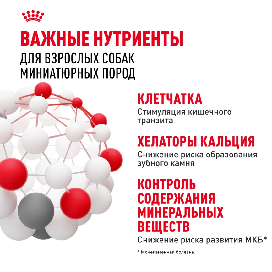 Сухой корм Royal Canin X-Small Adult для собак, 500 г фото 5